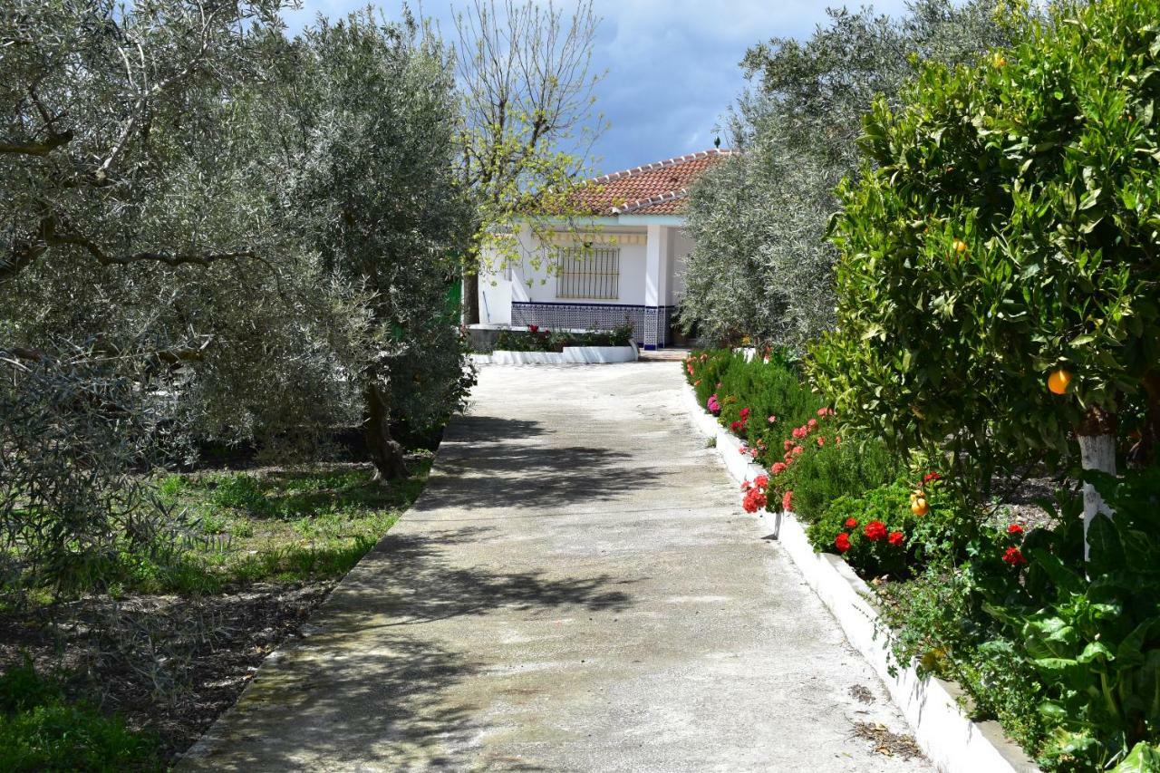 Casa Rural Alejo Малага Экстерьер фото